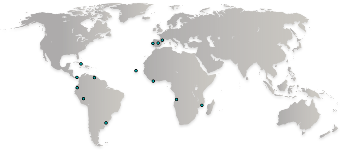 ICG-Fundació-Mon-Multinacional-Obra-Social-fundacion-fundacio